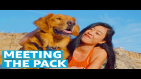 Meet the Teams from The Pack | Prime Video