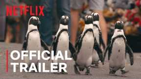 Penguin Town | Official Trailer | Netflix