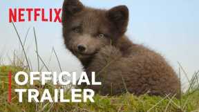 Wild Babies | Official Trailer | Netflix