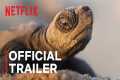 OUR PLANET II | Official Trailer |