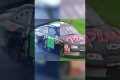 Split Legacy | Earnhardt
